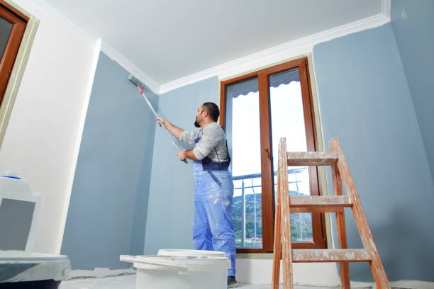  Sherwood, OH Mold Removal Pros