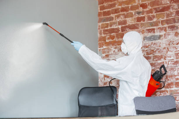 Best Asbestos and Lead Testing During Mold Inspection  in Sherwood, OH