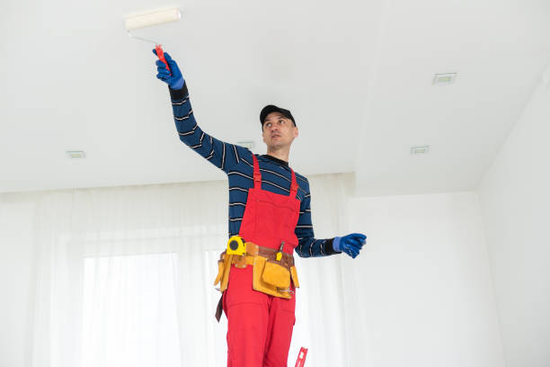 Best Water Damage & Mold Remediation  in Sherwood, OH