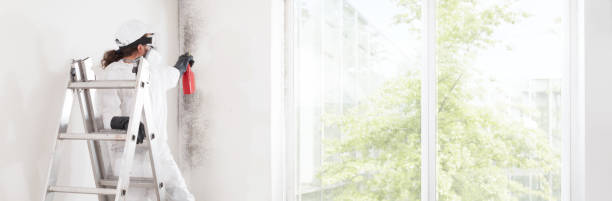 Best Industrial Mold Remediation  in Sherwood, OH