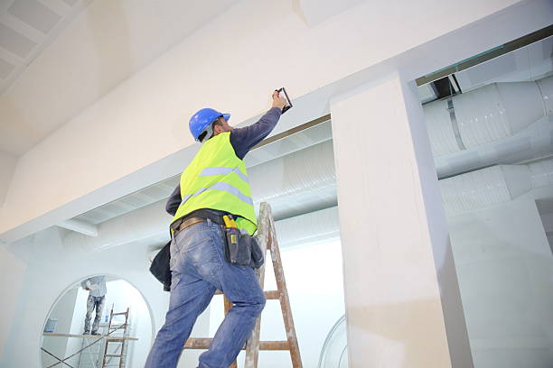 Best Comprehensive Air Testing for Mold Contaminants  in Sherwood, OH