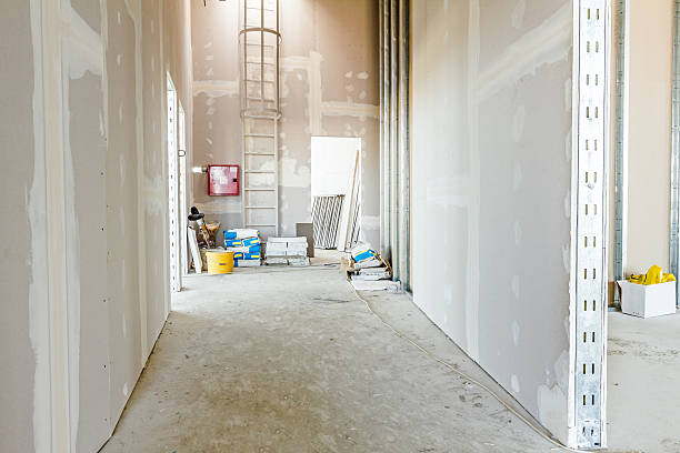 Best Dehumidification Services  in Sherwood, OH