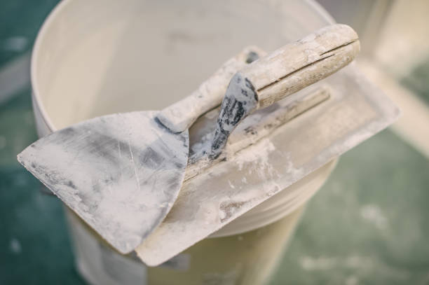 Best Mold Damage Restoration  in Sherwood, OH
